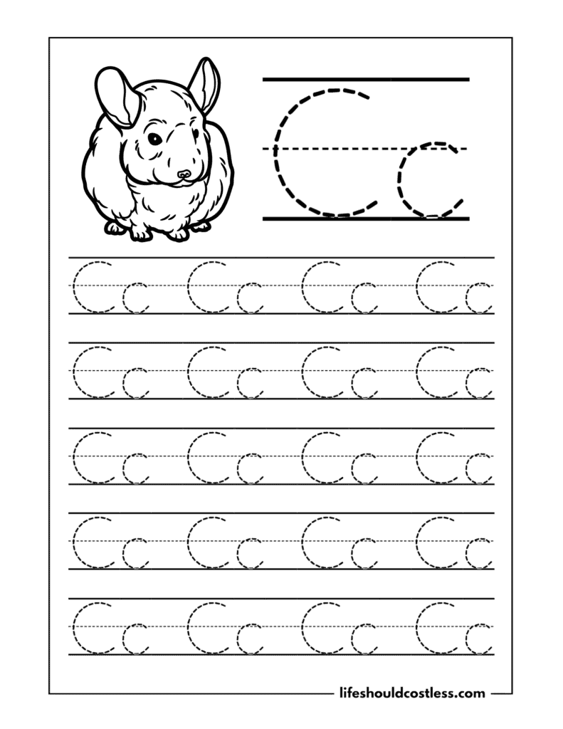 Letter C is for chinchilla word page