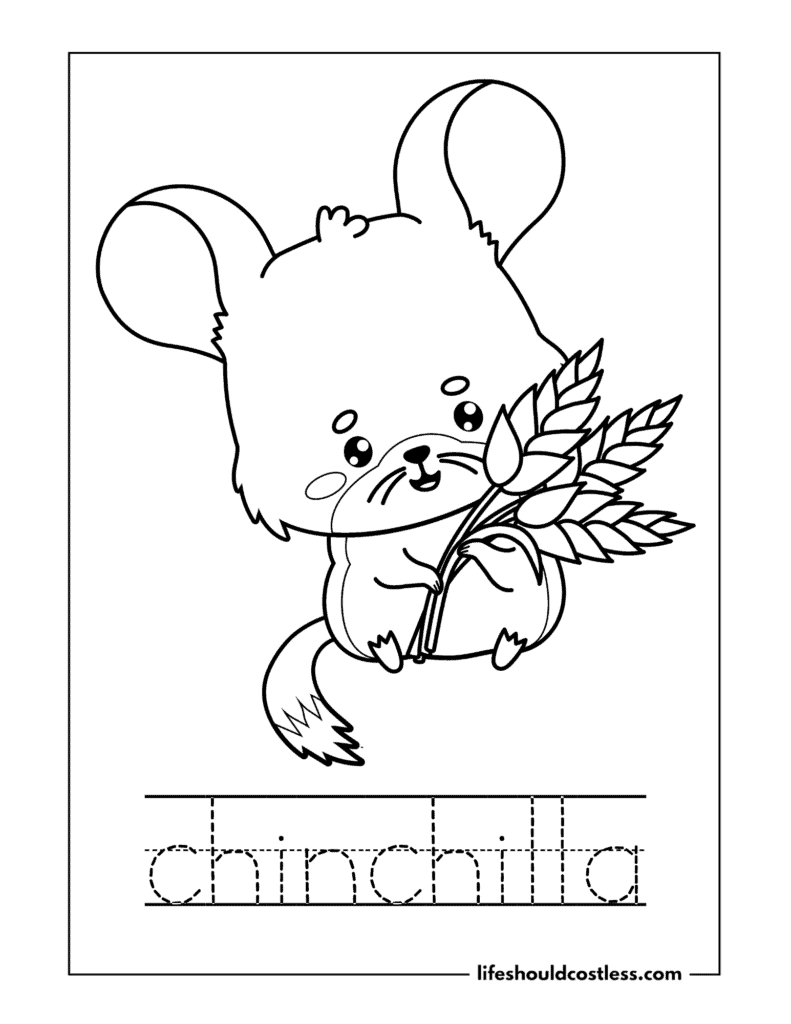 Letter C is for chinchilla worksheet